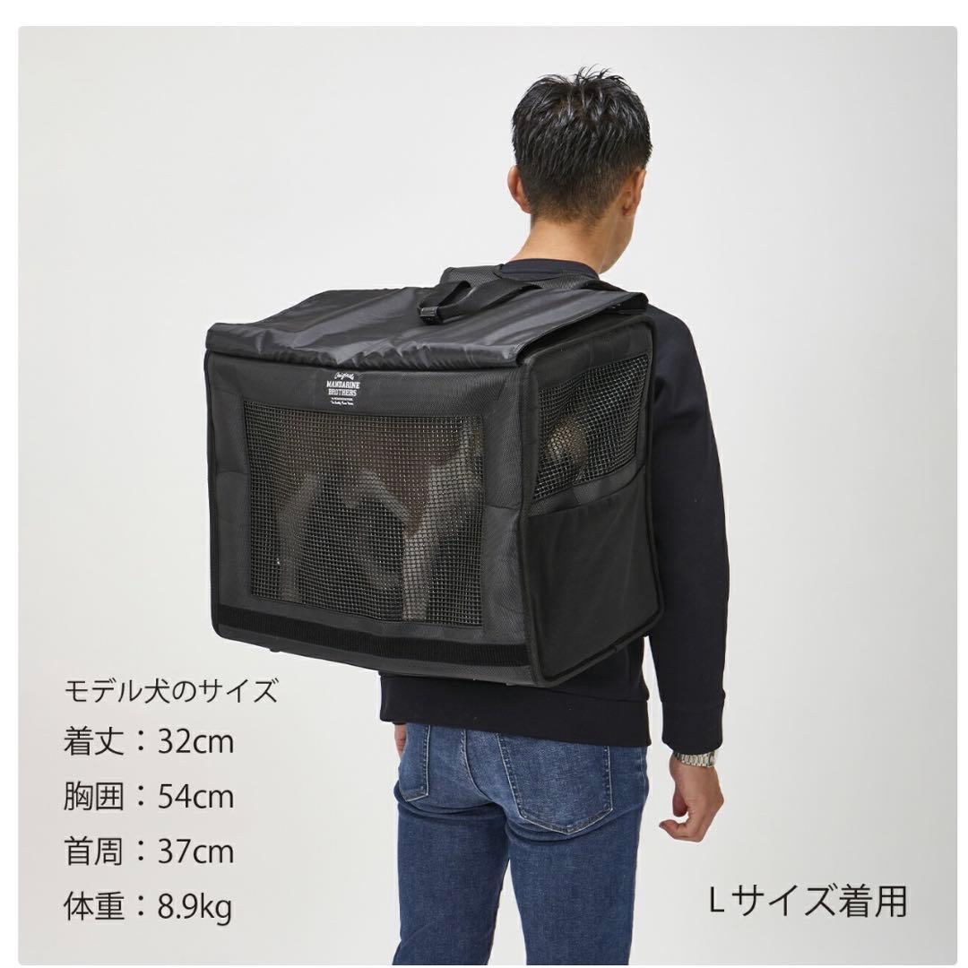 〜2/7値引【Renewal】BRIXTONCARRYBACKPACKWIDE