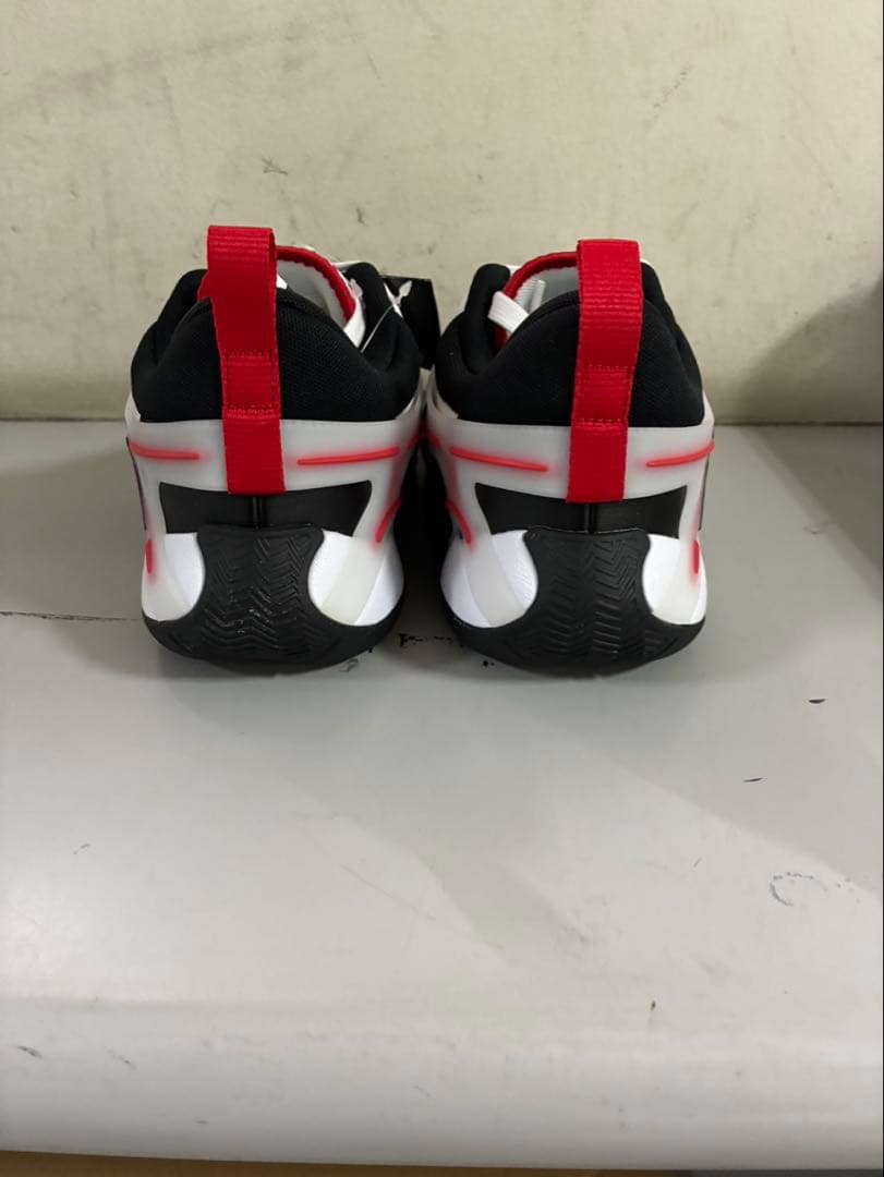 JORDAN HEIR PF 106カラー 25.0㎝