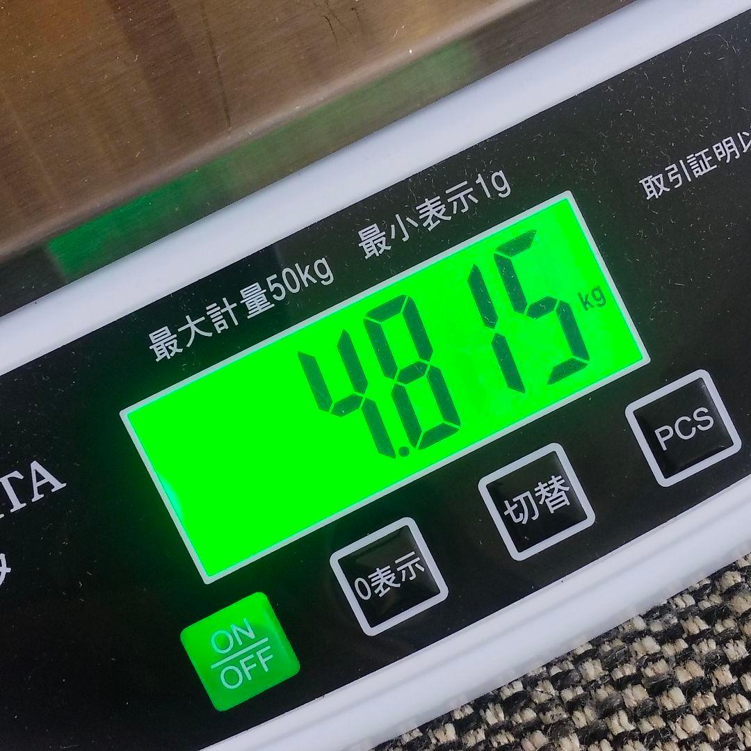 SPEAR Gungnir 6弦 変形 スピアー グングニル スルーネック