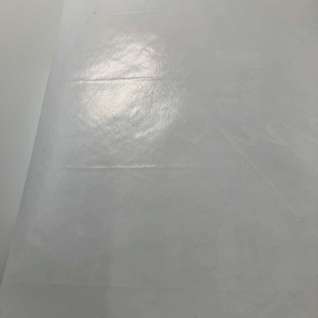 渡辺美奈代　シングル　アマリリス　店頭告知A1ポスター