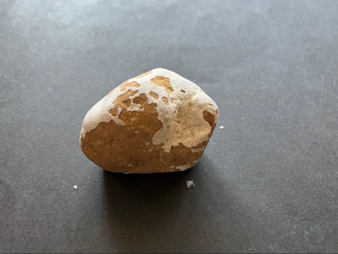 ヨルダン　死海の石 2010年採取