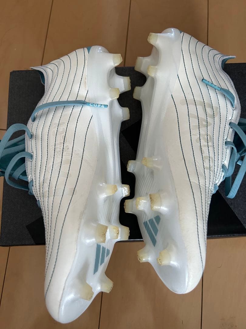 コパピュア.1 FG