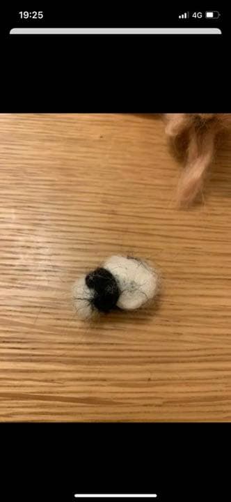 Switch マリオパーティをおまけにつけて可愛らしいトイプードルがメイン