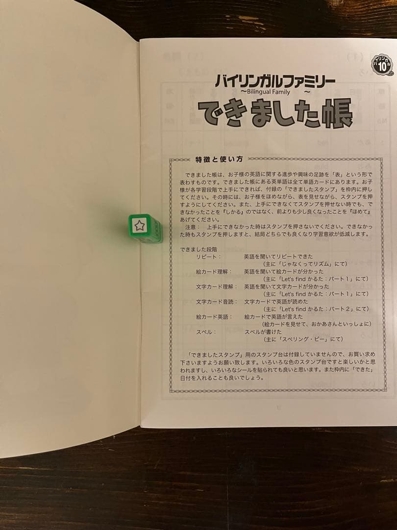 家庭保育園 第5教室 バイリンガルファミリー ＋その他 英語教材23種セット