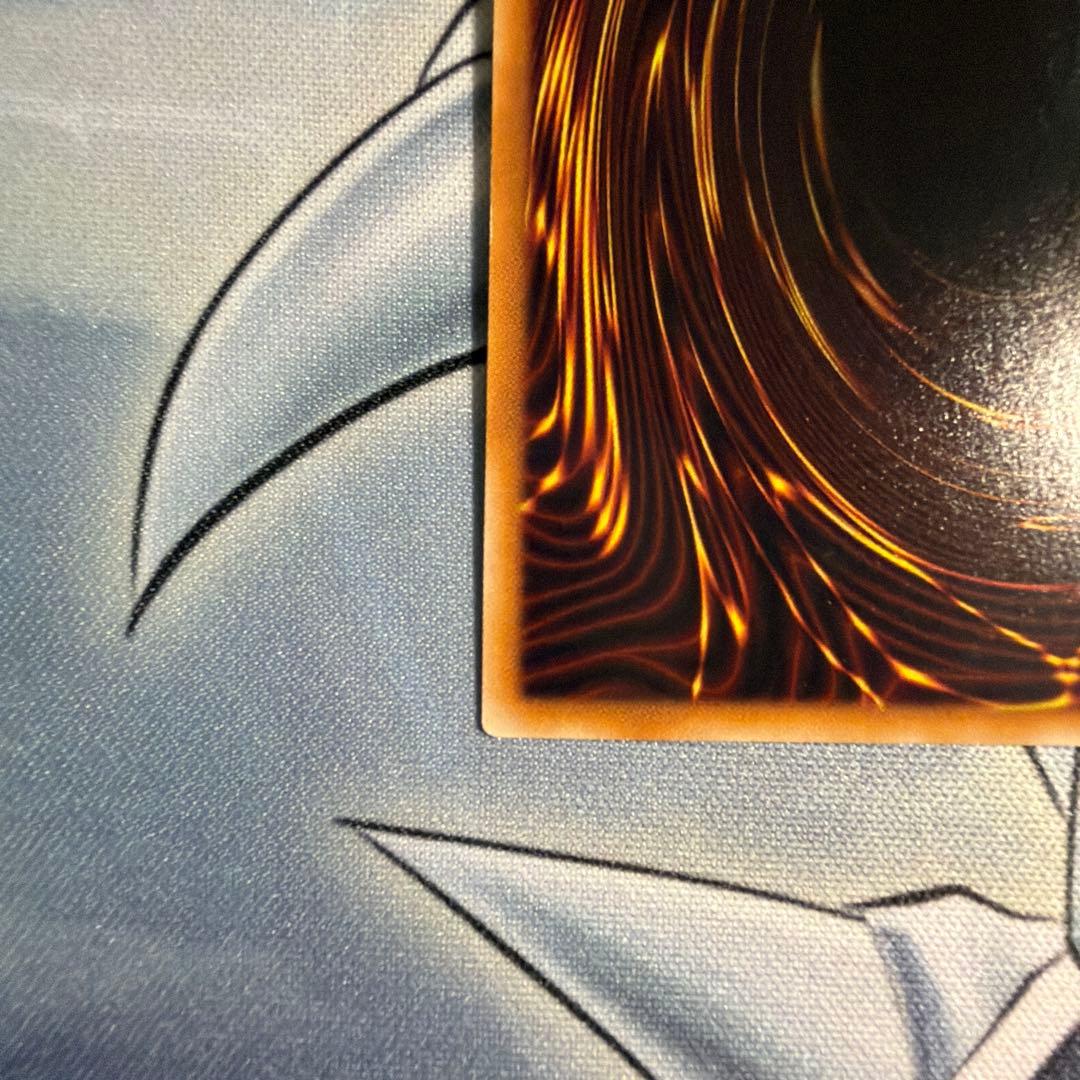 誇りと魂の龍 クオシク　アジア