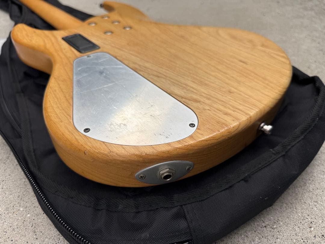 SELVA Ignite Bass ／ セルバ・イグナイト・ベース