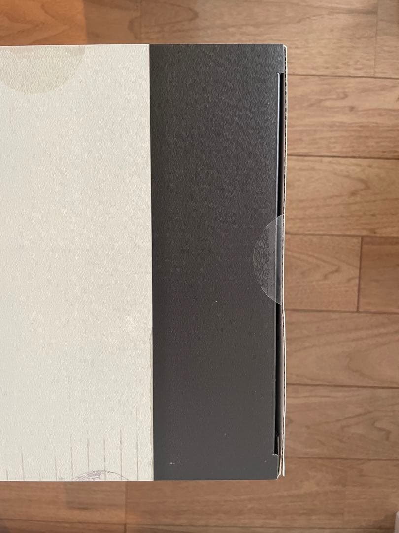 【新品未開封】ゼンレスゾーンゼロ　アンビー・デマラ　特典付き