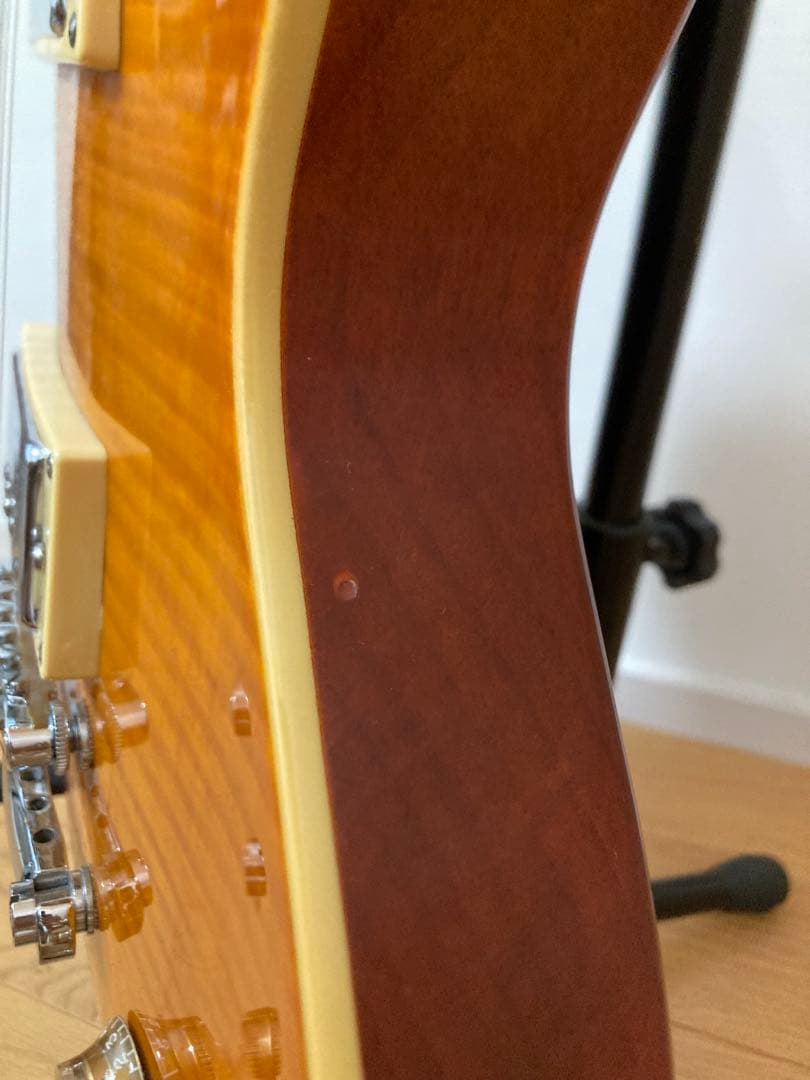 Grass Roots by ESP レスポール