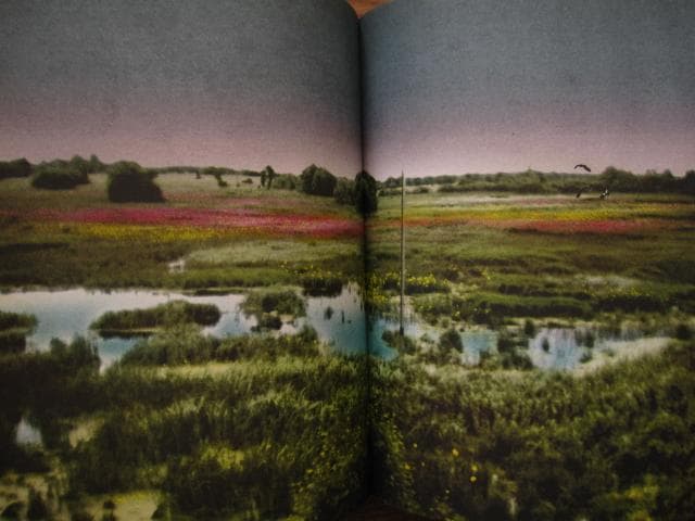 アート・デザイン・音楽 An Vogelhausen Mangelt Es Jedoch Nicht