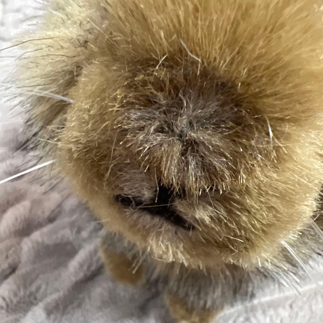 KÖSEN kosen ケーセン ぬいぐるみ ウサギ ドイツ