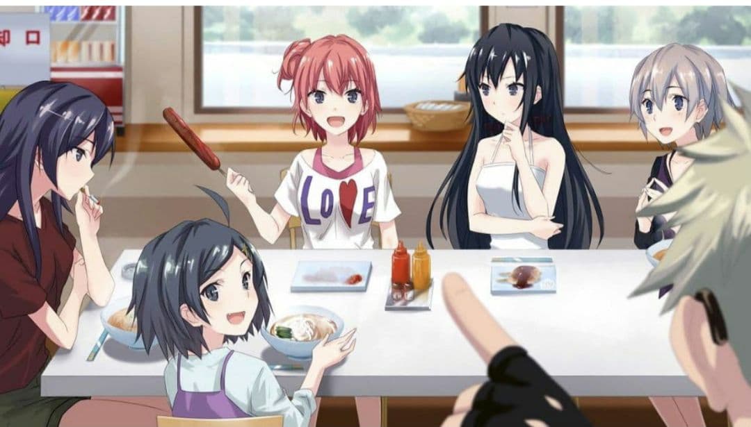 美品　やはり俺の青春ラブコメはまちがっている　おまとめ＆完　初回限定版スイッチ