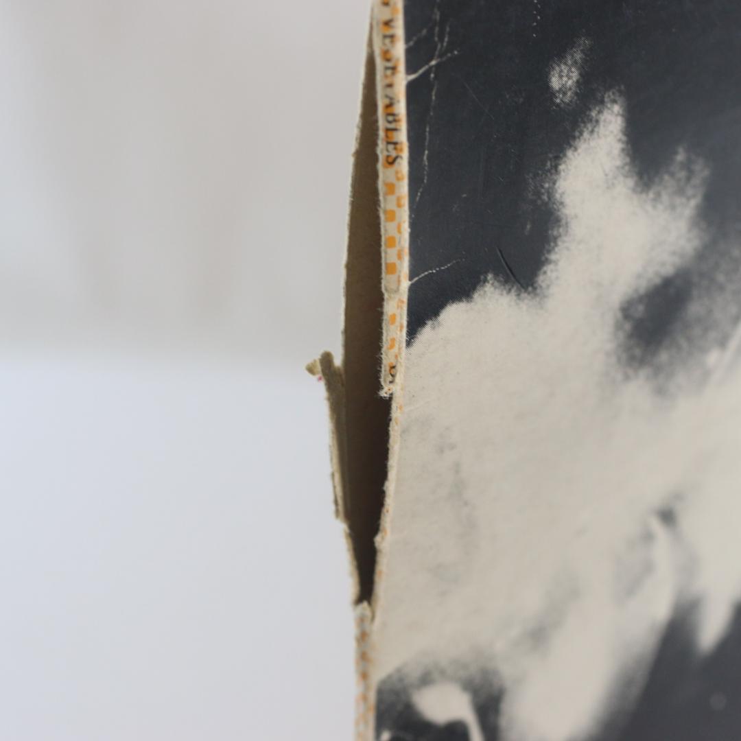 英LP Dead Kennedys デッド・ケネディーズ Fresh Fruit