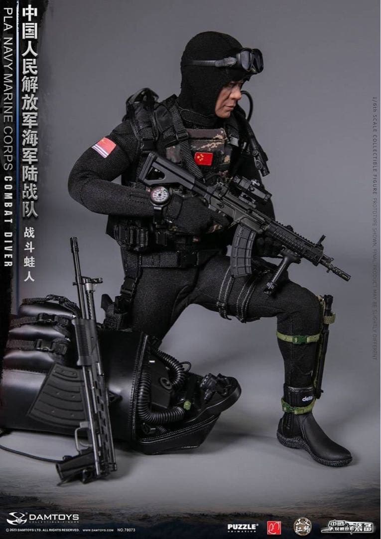 DAMTOYS 78073 中国海軍陸戦隊 1/6 Combat Diver