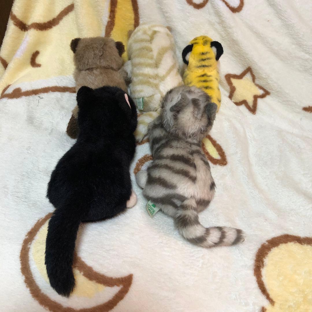 TAKENOKO ぬいぐるみ＆マスコット＆キーホルダー　51コセット　中古　③