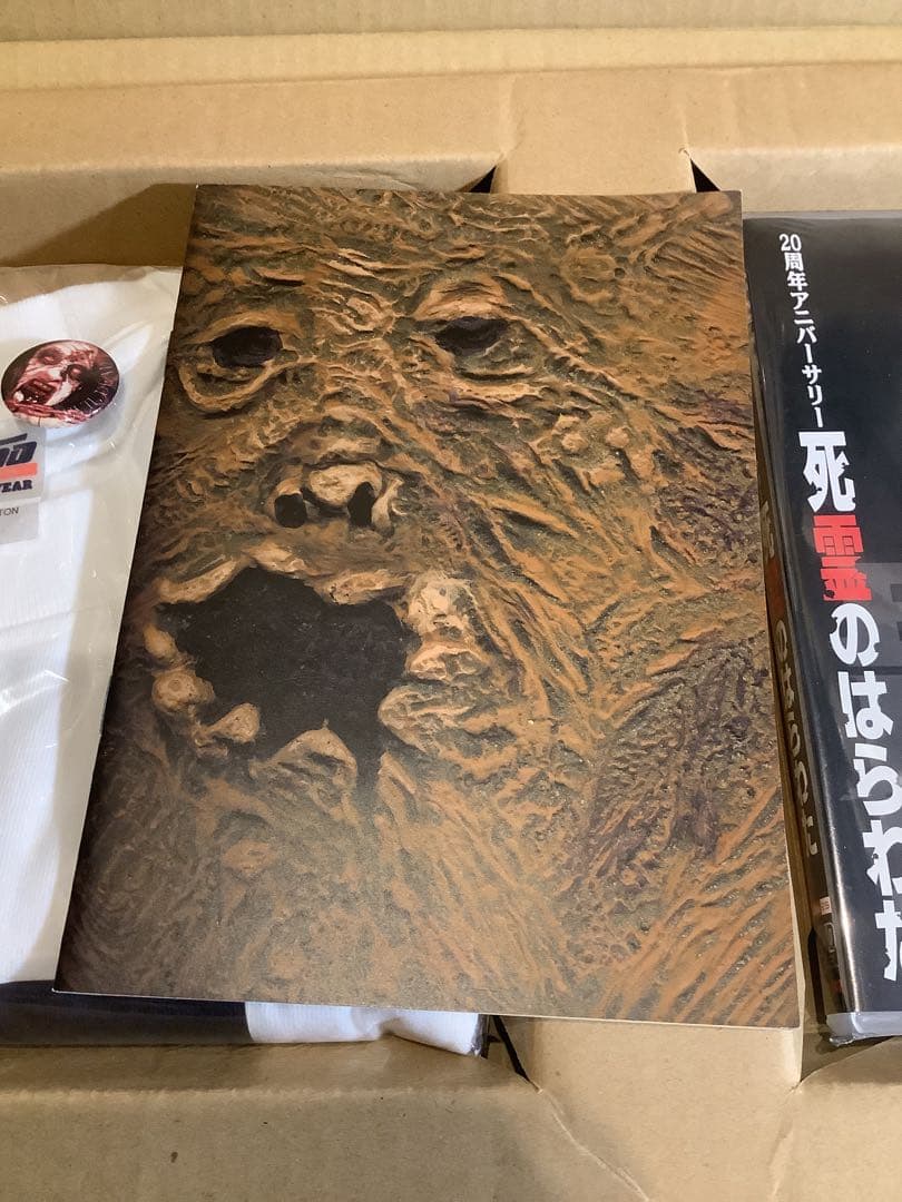 【貴重】サムライミ　死霊のはらわた　EVIL DEAD 2006 特別版 DVD