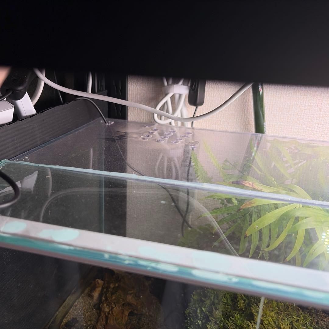 【受注生産】 アクアテラリウム　45センチ水槽