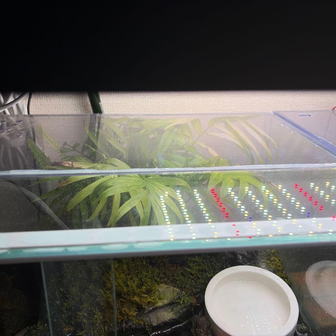 【受注生産】 アクアテラリウム　45センチ水槽