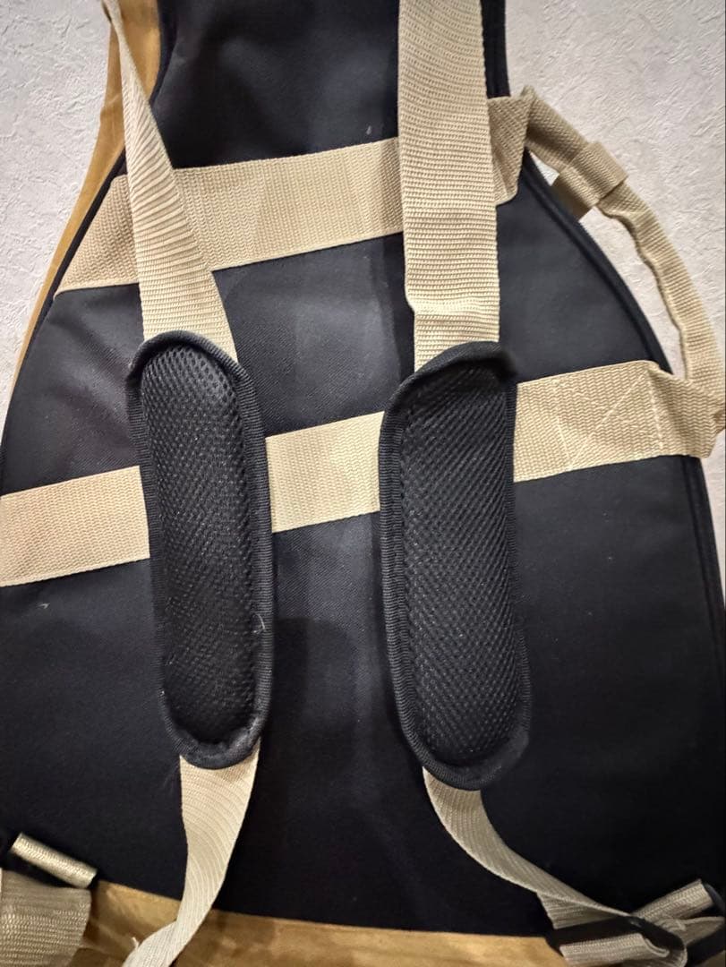 【ギターケース付】Bacchus エレキギター BTE-1R LPB