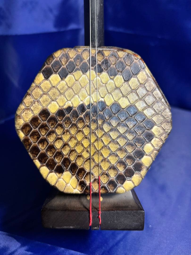 西野二胡　光舜堂（中上級者向け）