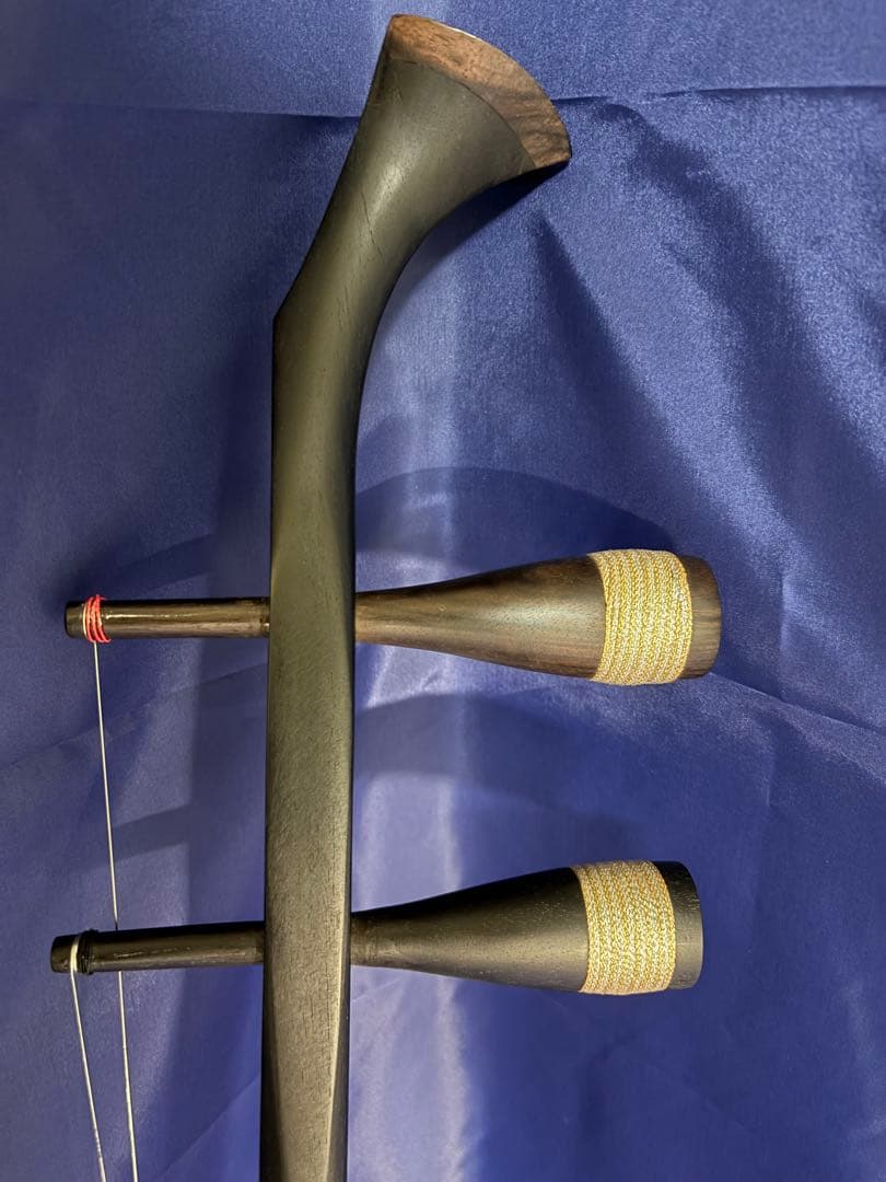 西野二胡　光舜堂（中上級者向け）