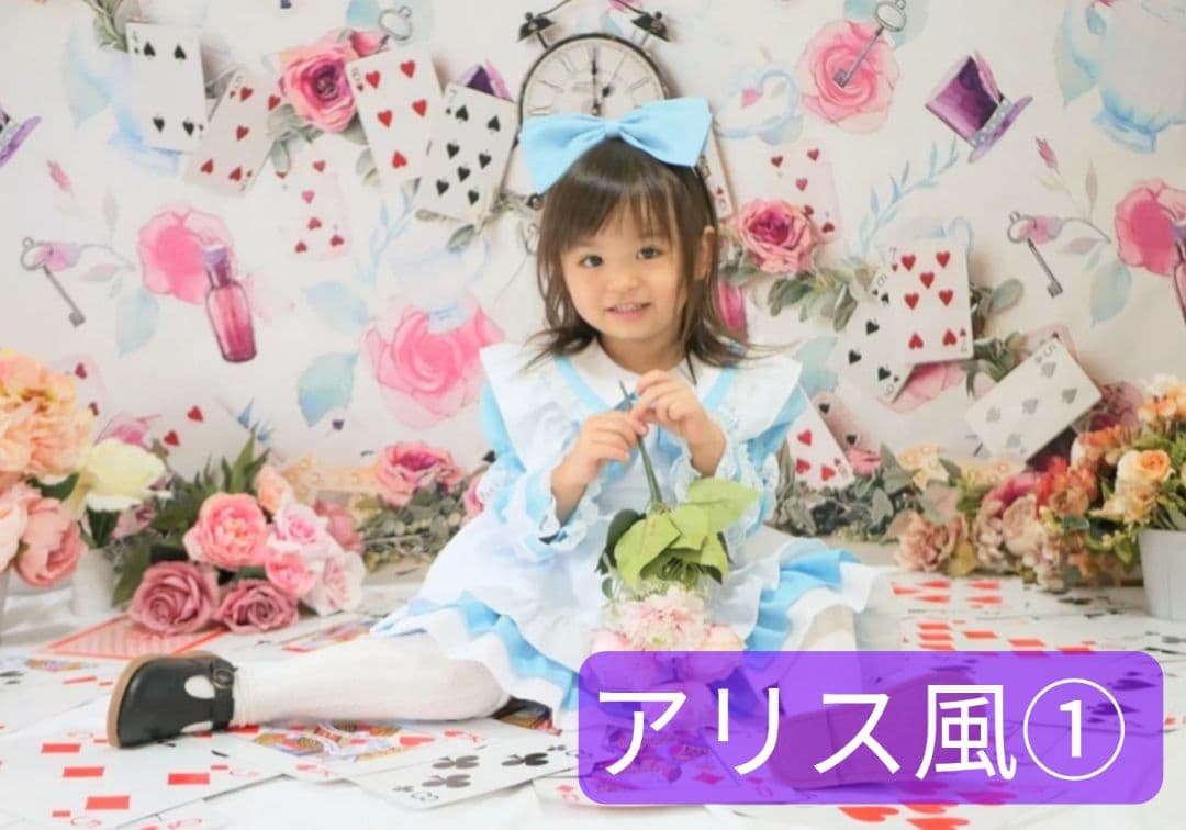 背景布+秋色チョーカー　パンパスグラス　お月見　十五夜　ペットサロン撮影用