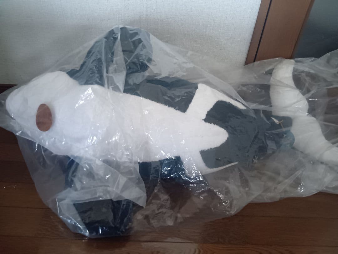 鴨川シーワールド　シャチのぬいぐるみ 100cm