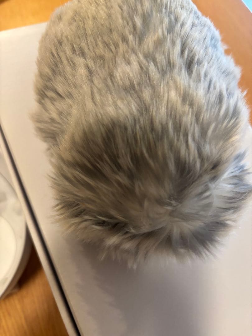 CASIOモフリンシルバー