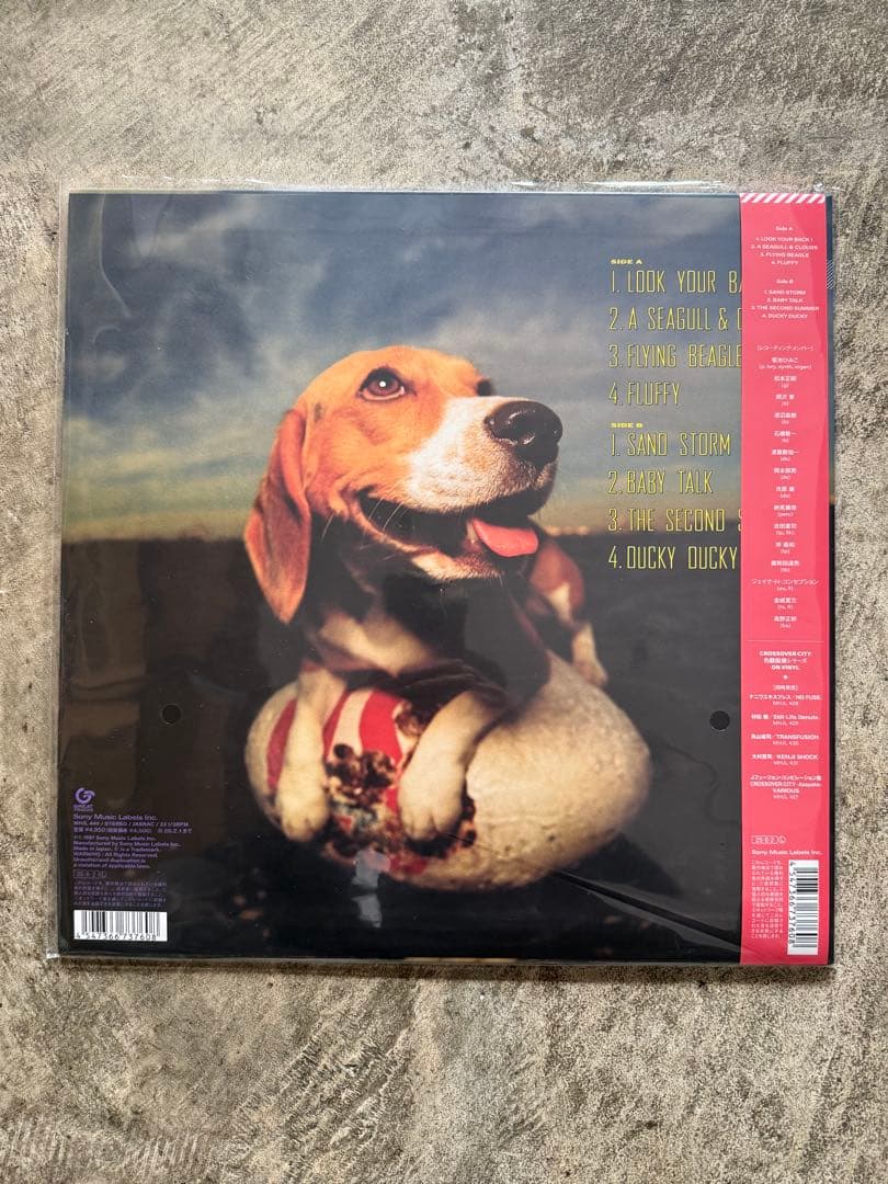 新品未使用 菊池ひみこ \"FLYING BEAGLE\" LP