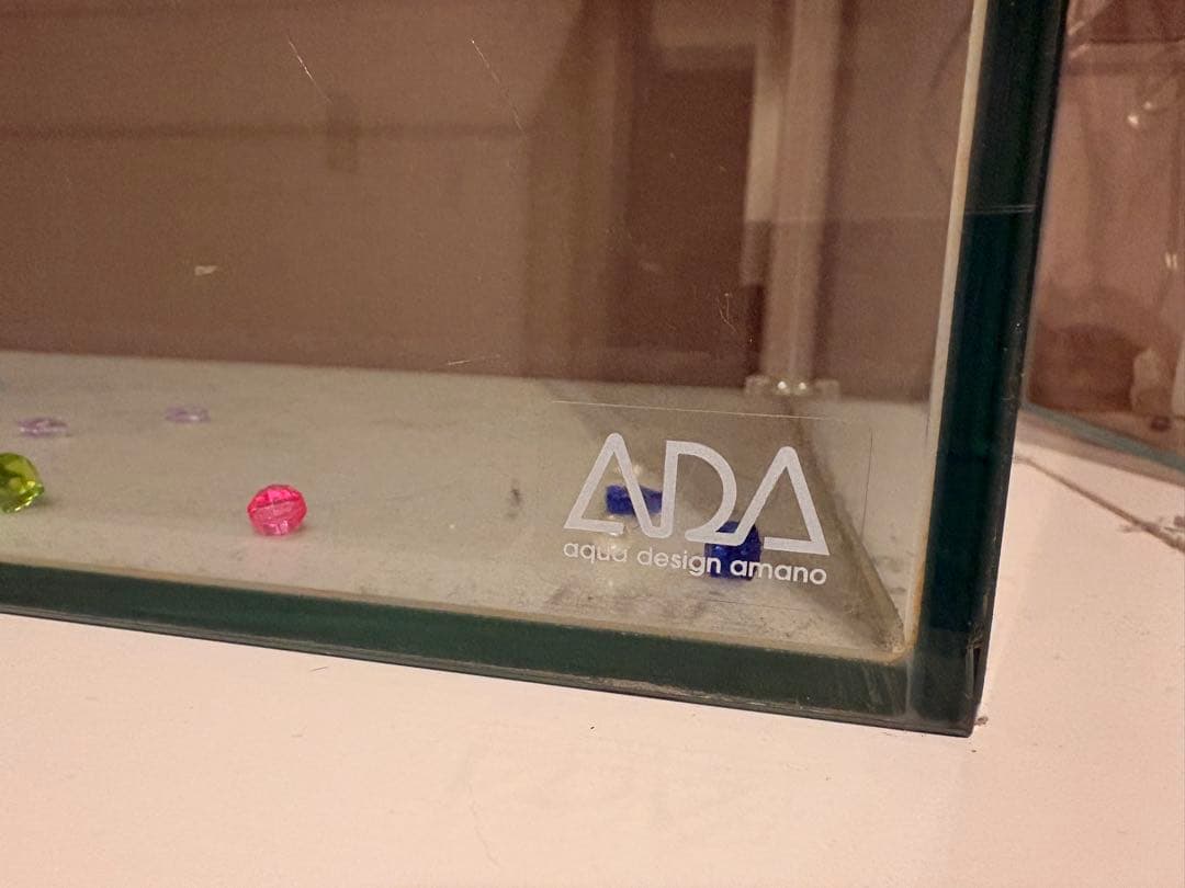 ADA(アクアデザインアマノ) 60cm 水槽