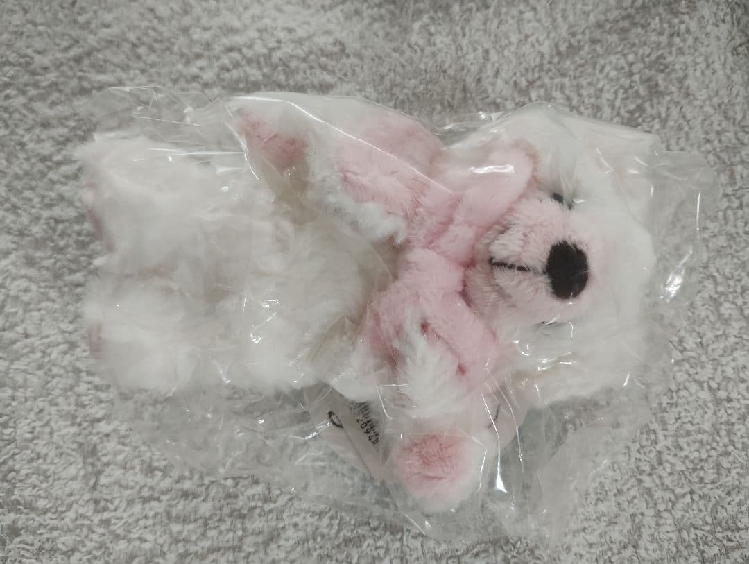 未開封の新品 ご当地ベア バラ売りOK