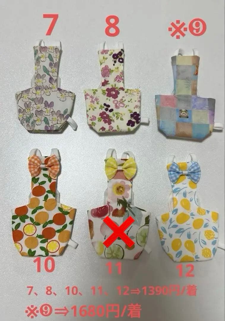 Sサイズバードスーツ