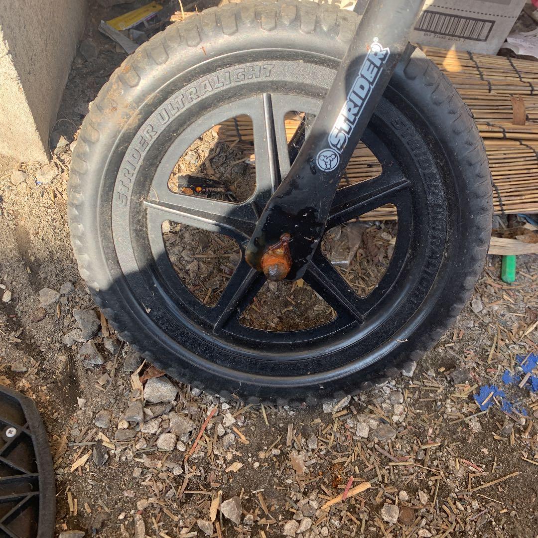 ストライダースポーツ