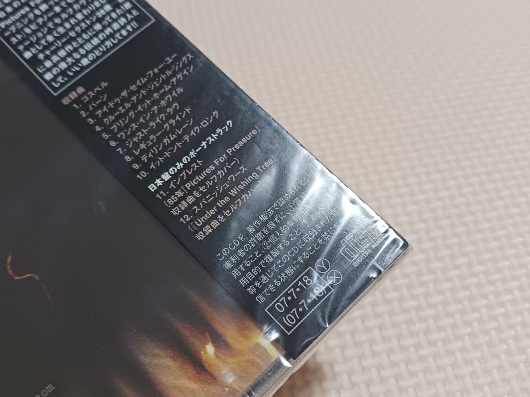 Charlie Sexton 明日への轍 国内盤CD