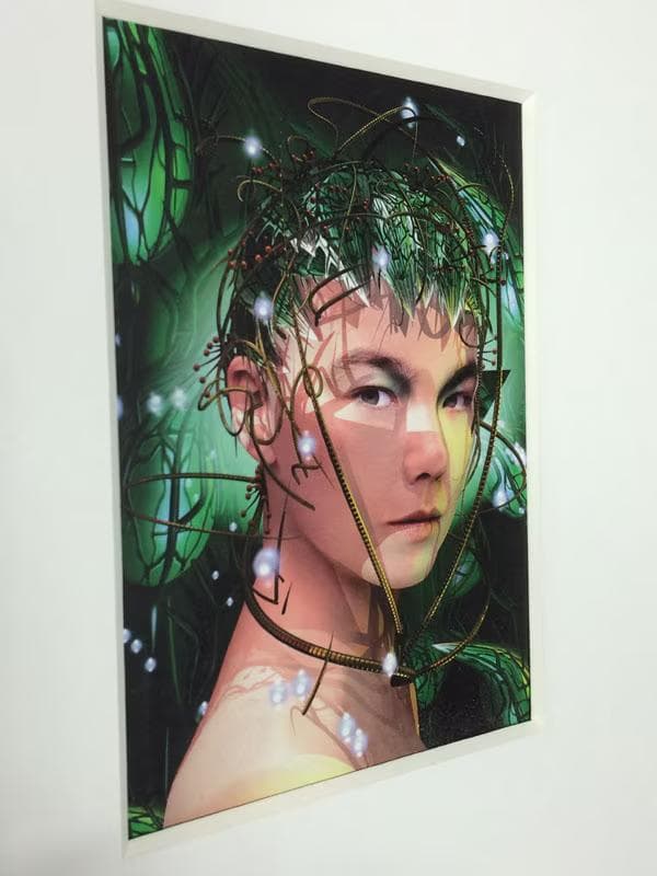 額装品/Bjork（ビョーク）/Bachelorette 1997年/インテリア