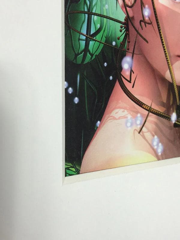 額装品/Bjork（ビョーク）/Bachelorette 1997年/インテリア