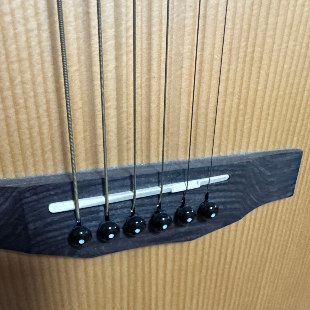 Morris SA-02ENAI アコースティックギター