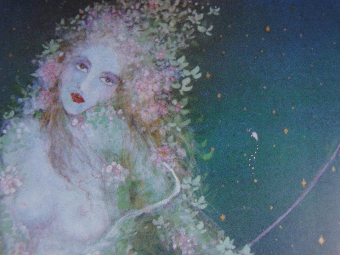 石踊達哉、【流星】、希少な額装用画集より、厳選、新品額装、マット額装付