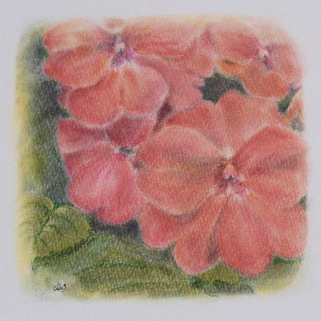 受注制作：花のパステル画