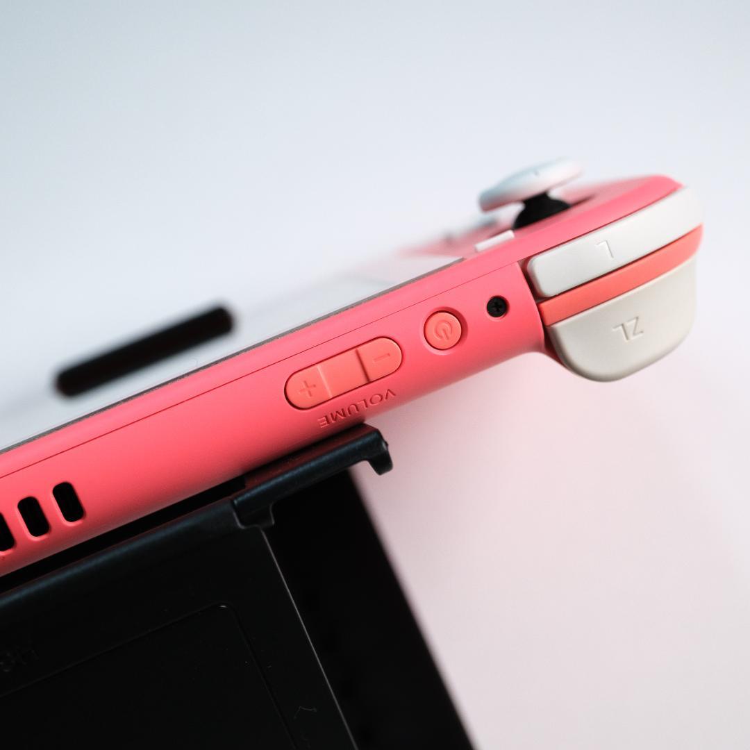 Nintendo Switch Lite ピンク コーラル　ケース付き