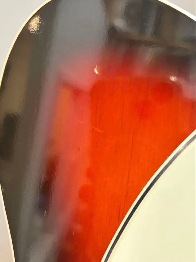 Vanzandt TLV-R2 【マダガスカルローズ指板】美品