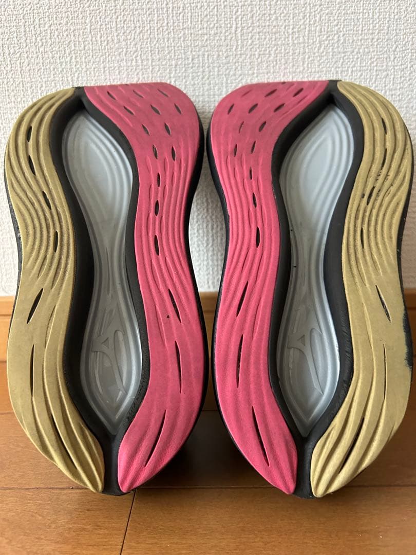 【値下げ】ミズノ　ネオビスタ　26cm