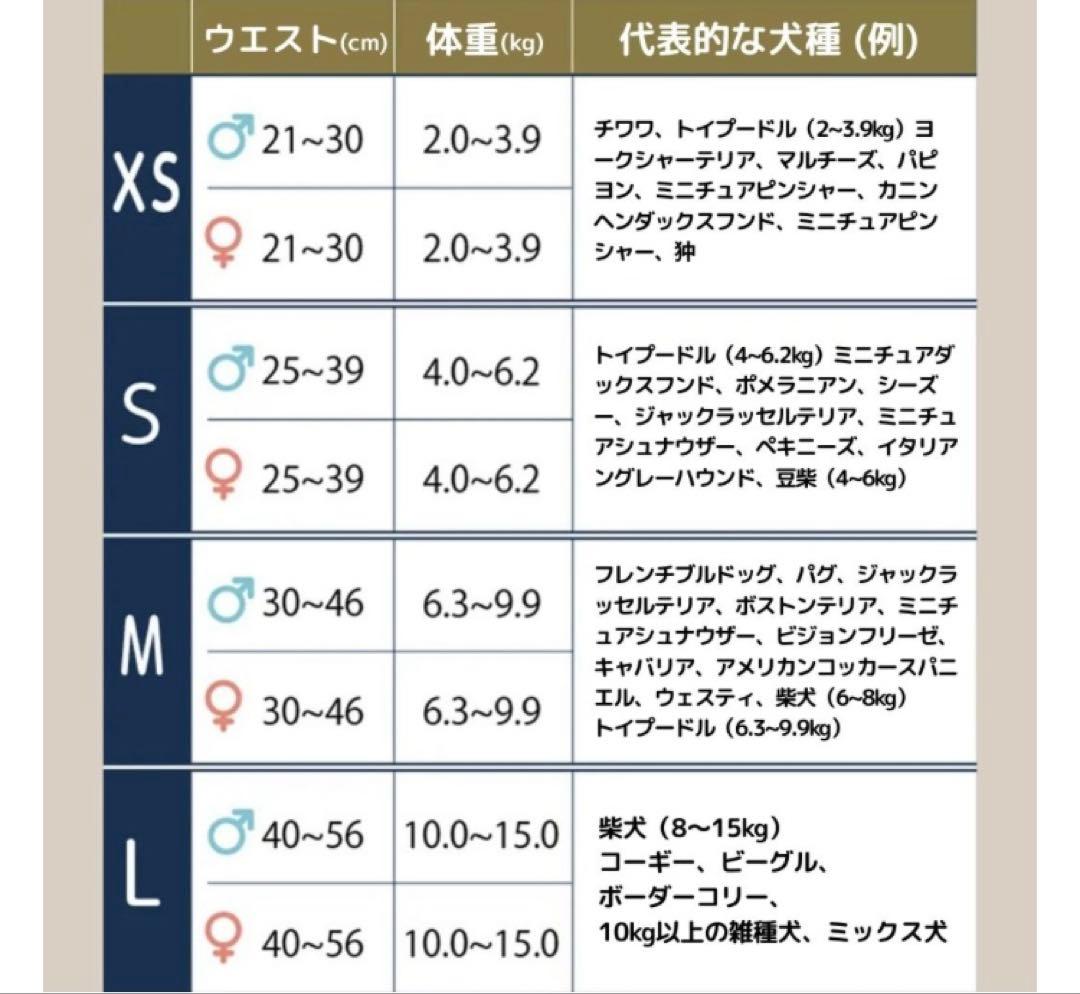 うんコロキャッチ　Mサイズ　3枚セット　未使用