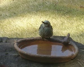 No.2 バードバス　餌台　：小鳥二羽、カタツムリ、カエル、カメ　焼き締め焼成
