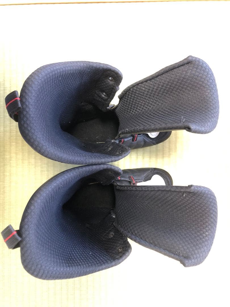 ノルディカ　スキーブーツ　24㎝