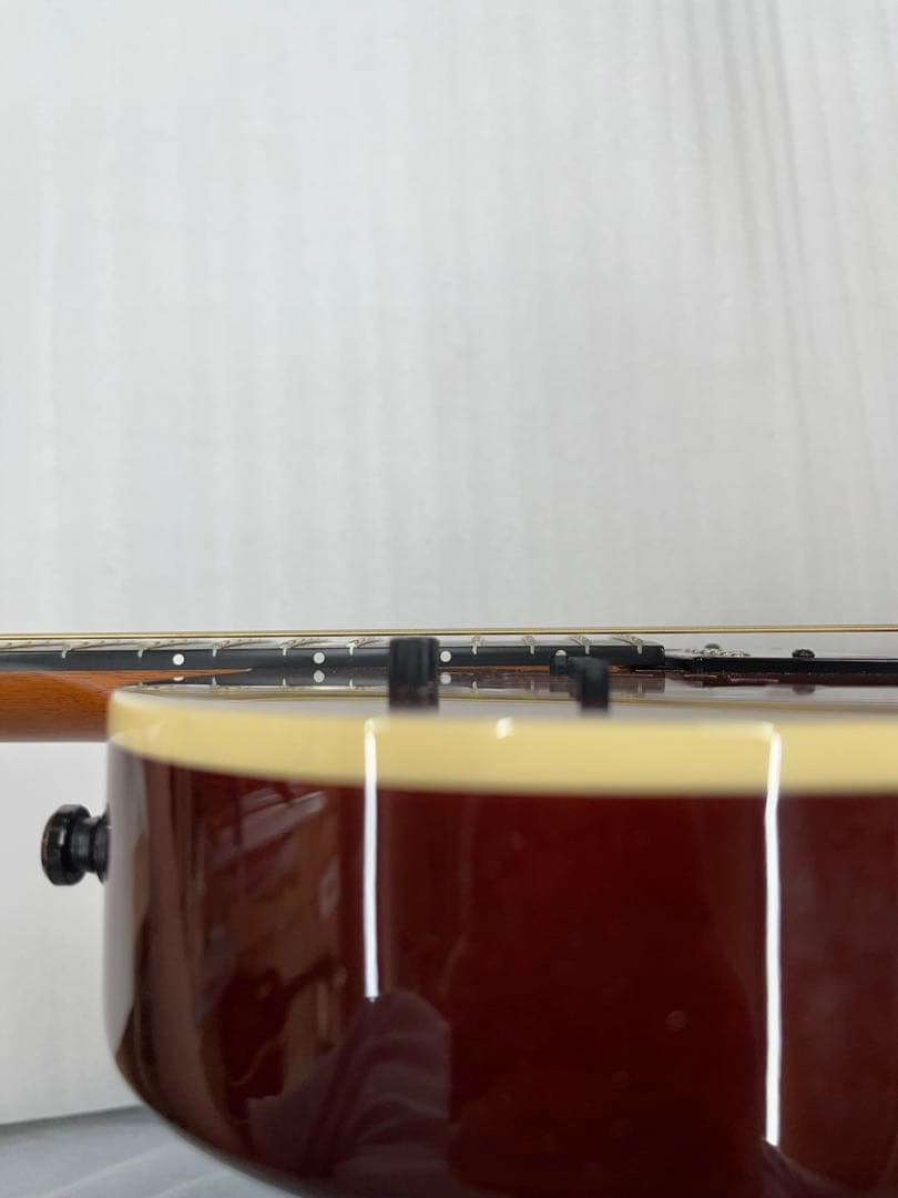 【ハードケース付】 Godin A6 Ultra cognac burst