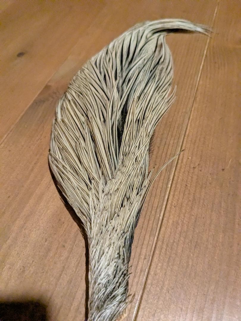 博*）様 フライマテリアル