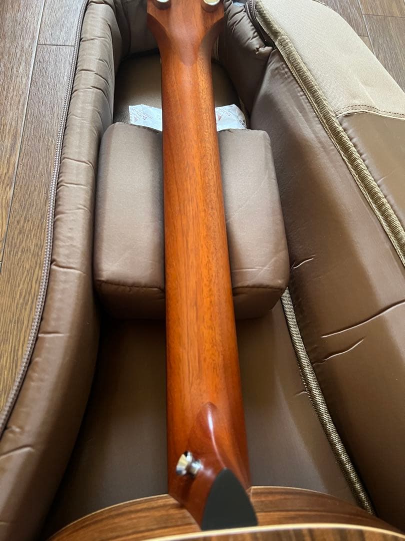 Taylor Guitars ( テイラーギター ) GS Mini-e