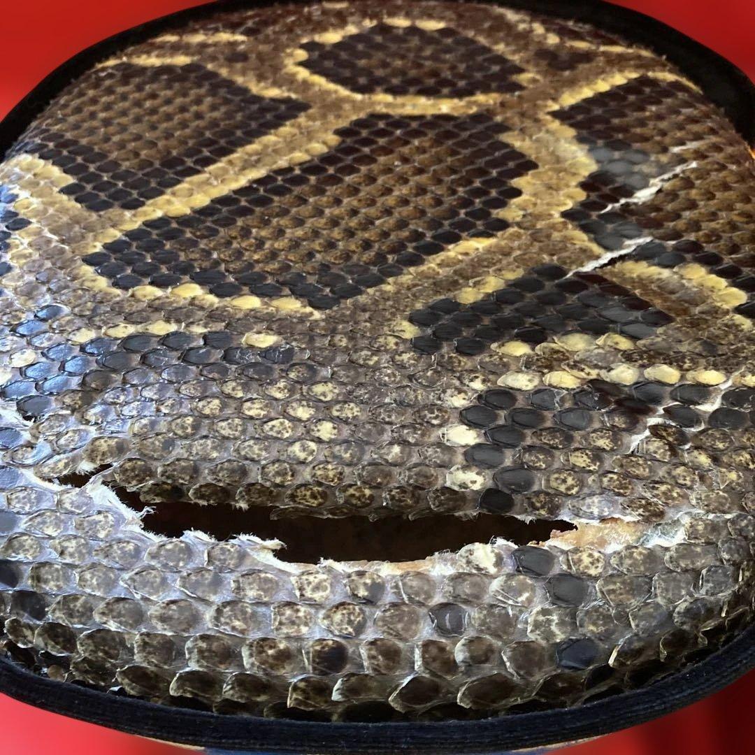 三線 蛇皮 ケース付き 破損あり