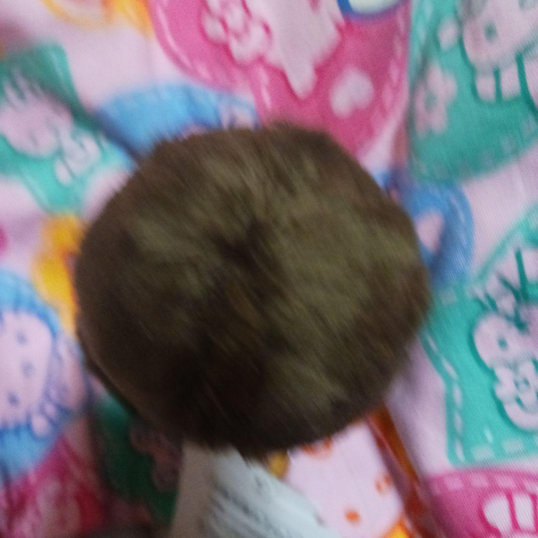 レア‼新品‼モンチッチ 青い瞳