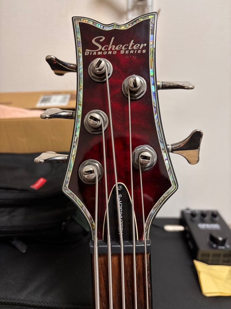 SCHECTER HELLRAISER-5 5弦ベース